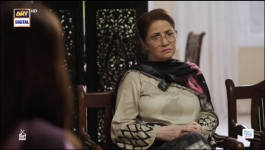 Biryani - Episode 27 - 11th November 2025